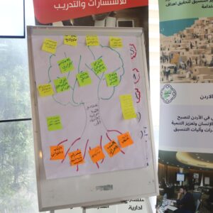استشارات التطوير التنظيمي والمؤسسي